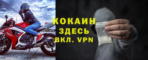 хмурый Осинники