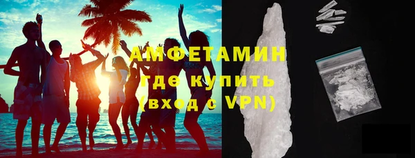 сатива Осташков