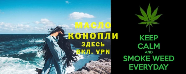молекула духа Переславль-Залесский