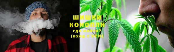 хмурый Осинники