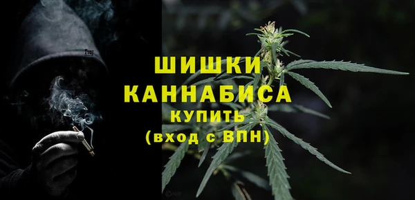 молекула духа Переславль-Залесский