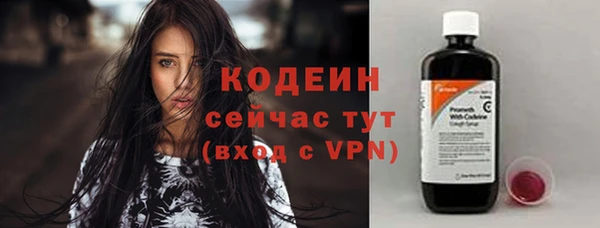 молекула духа Переславль-Залесский