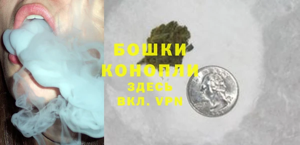 сатива Осташков