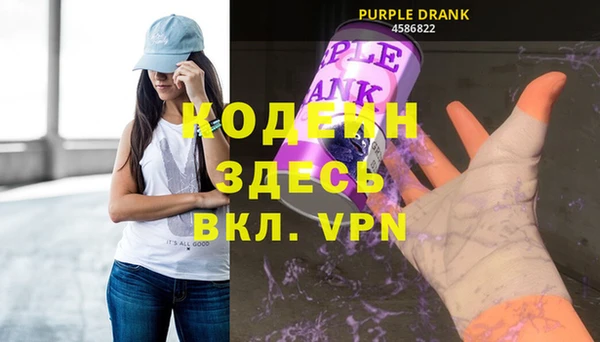 хмурый Осинники