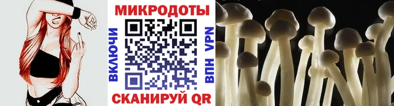 Псилоцибиновые грибы MAGIC MUSHROOMS  Ряжск 
